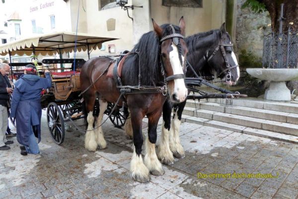 kitz072
