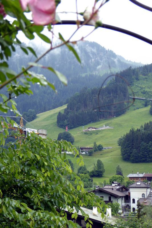 kitz095