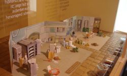 bilder juli bis nov 2014 1123